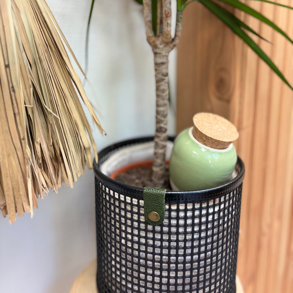 Olla verte