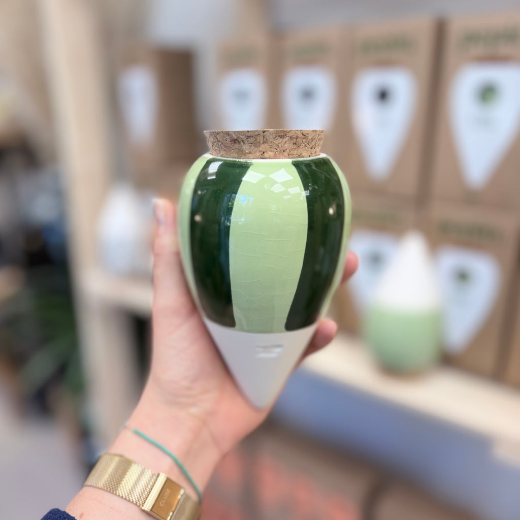 Olla rayée verte
